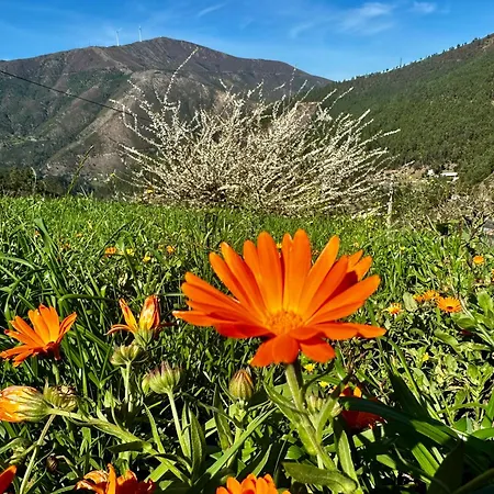 Love, Made In Xisto Дом отдыха