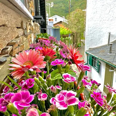 Love, Made In Xisto Vakantiehuis Piódão