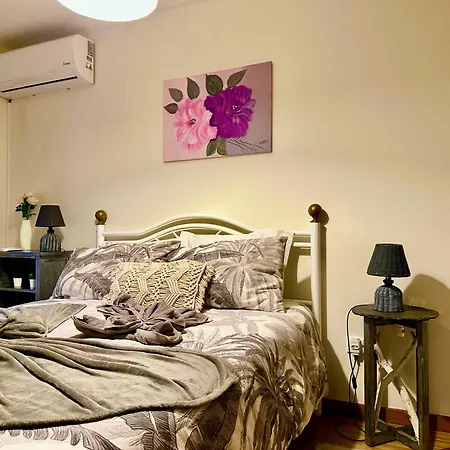 Tatil Evi Love, Made In Xisto