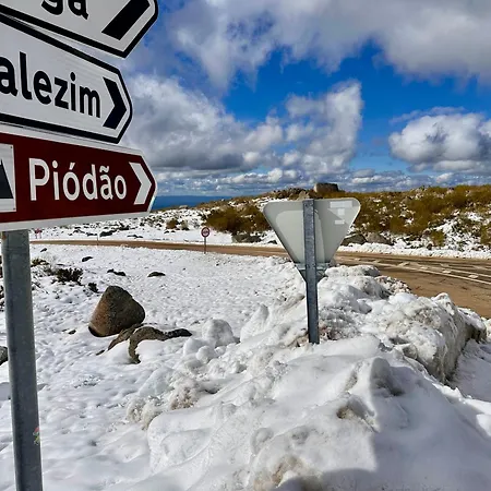 Love, Made In Xisto *