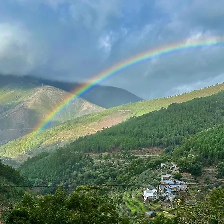 Love, Made In Xisto * Пиодан