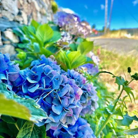 Love, Made In Xisto 別荘