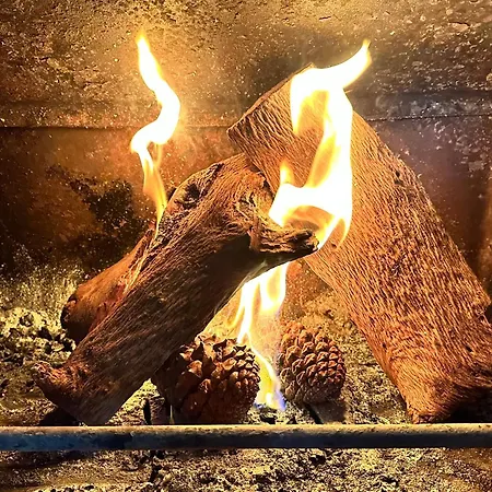 Love, Made In Xisto *