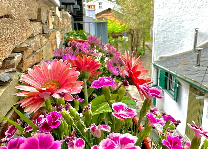 Love, Made In Xisto Hébergement de vacances Piódão