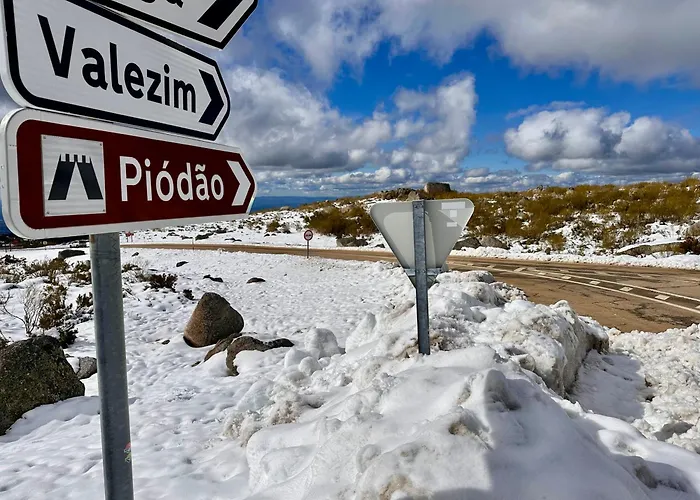 Love, Made In Xisto *